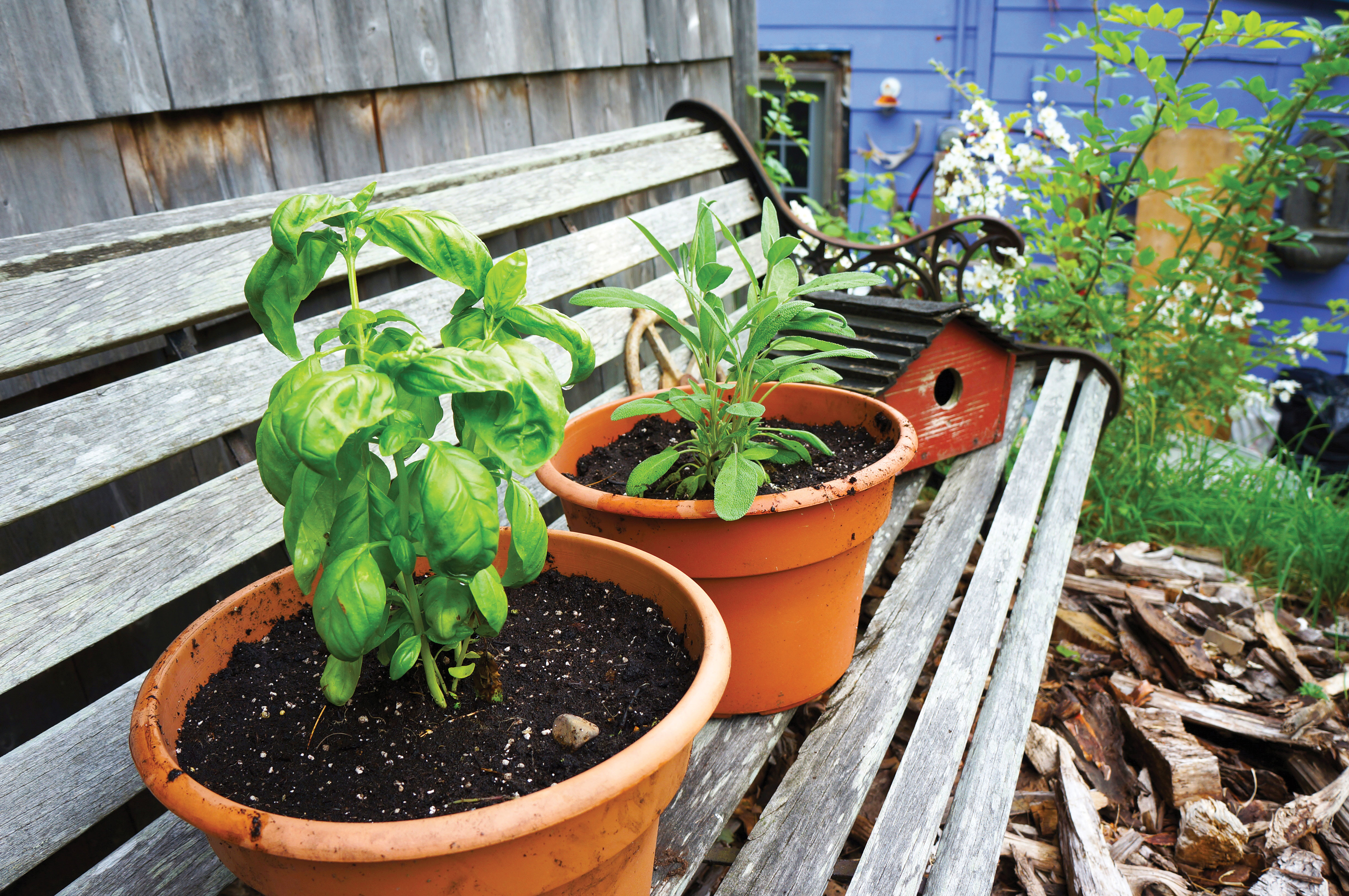 The dirt on reusing soil