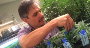 High anxiety: The state of a highly regulated industry