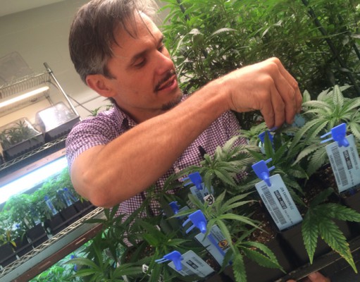 High anxiety: The state of a highly regulated industry