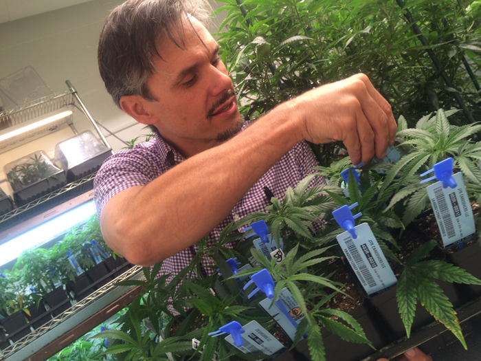 High anxiety: The state of a highly regulated industry