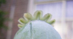 The full reach of addiction