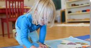 Mountain Shadows Montessori School