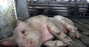 Oops, we forgot to study that