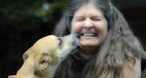 From tough campo dog to sweetheart companion