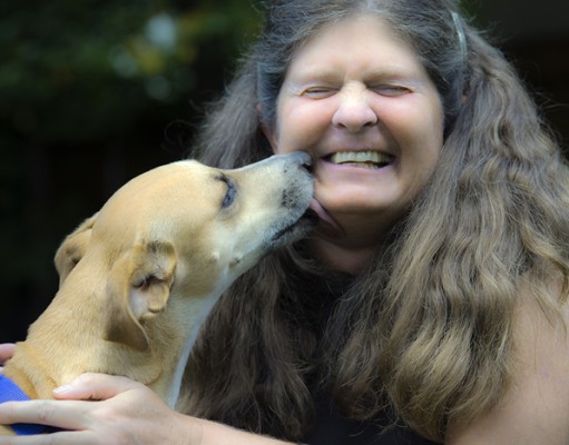 From tough campo dog to sweetheart companion