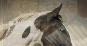 Arts | Week of Dec. 11, 2014