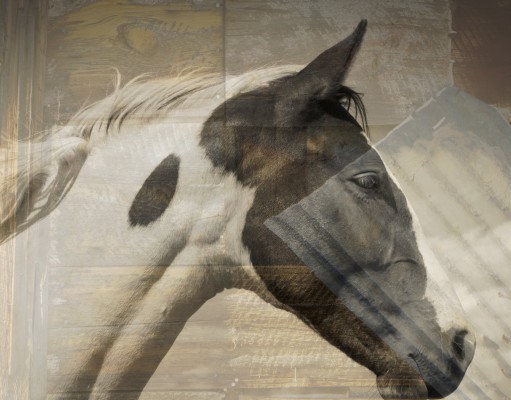 Arts | Week of Dec. 11, 2014