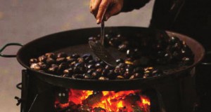 Tidbites | Week of Dec. 18, 2014