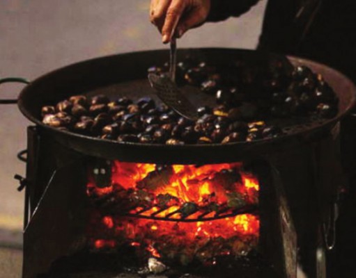 Tidbites | Week of Dec. 18, 2014