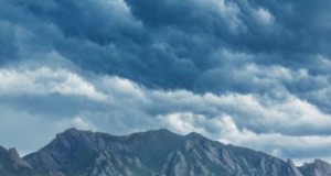 Arts | Week of January 1, 2015