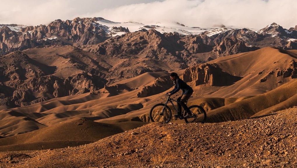 Two-wheeled revolution
