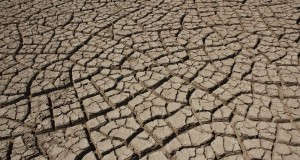 Watering America’s food factories