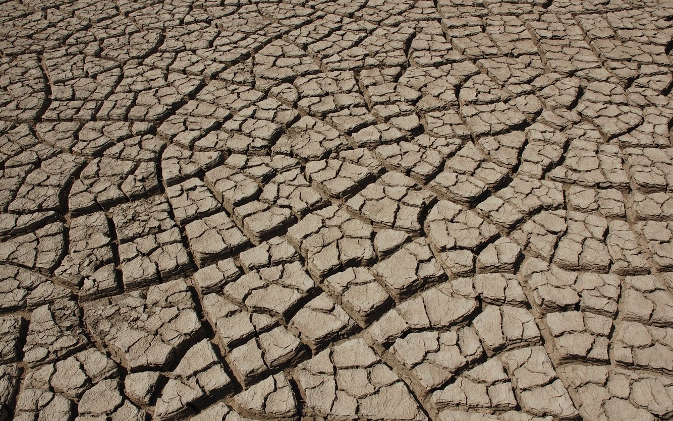 Watering America’s food factories