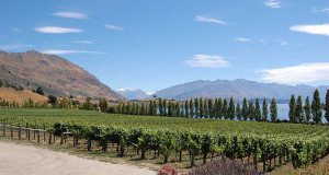 New Zealand: more than hobbits and sauvignon blanc