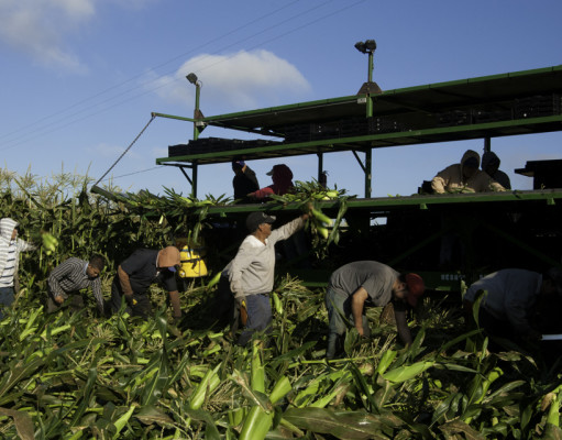 Trump’s racism will hit his supporters in their pocketbooks