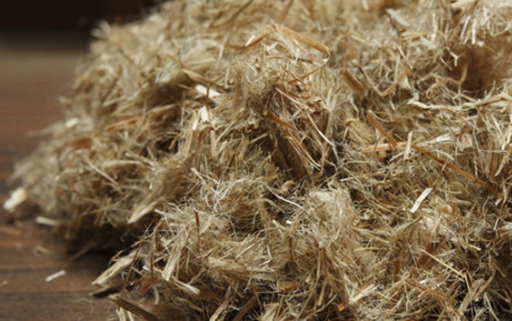 2016 could be the year for industrial hemp