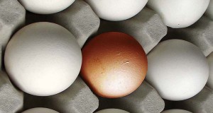 City of Boulder recommends controversial Nextdoor.com