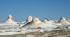 Beauty in Black and White