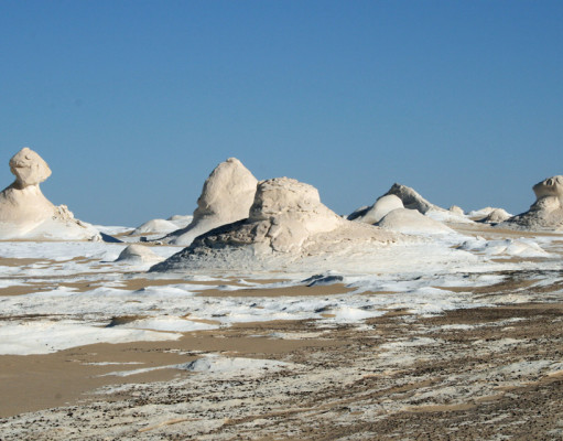 Beauty in Black and White