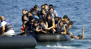 From the mouth of a shark