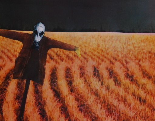 It’s time for Commissioners to show some backbone