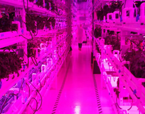 A growing industry