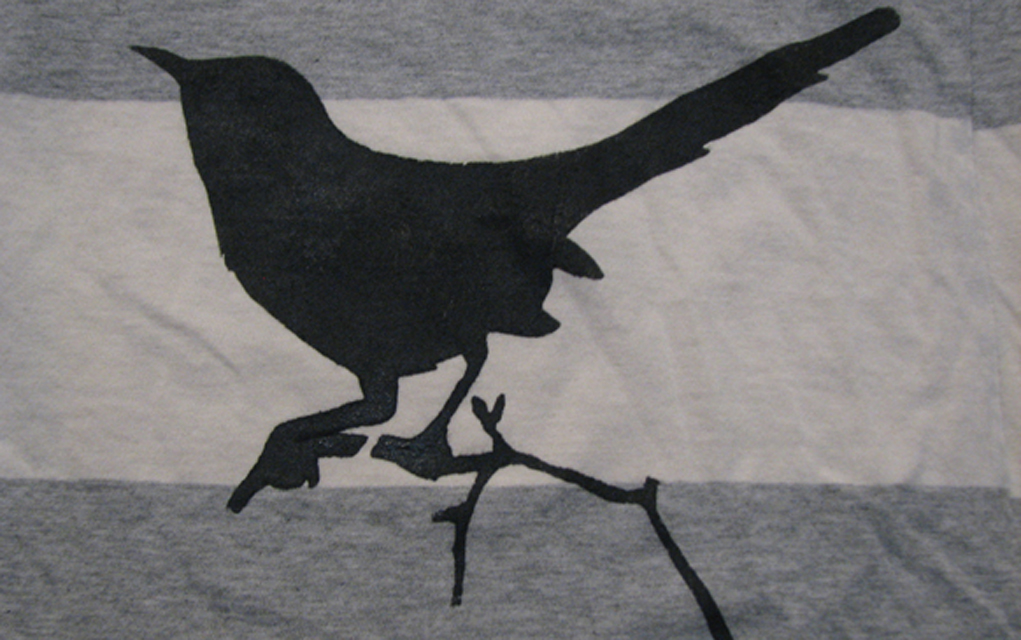 Boulder City Council went to Portland and all we got were these stupid bird t-shirts.