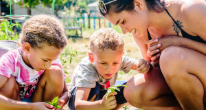 Tilling it like it is