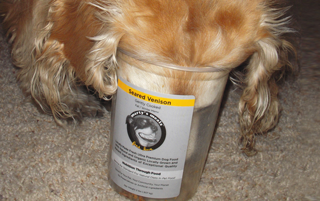 No dry kibble here