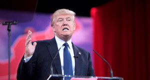 We can’t deny the similarities