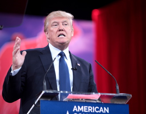 We can’t deny the similarities