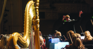 Boulder Phil to help produce a ‘masterpiece’