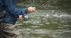 Bringing the fight to them