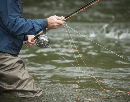 Bringing the fight to them