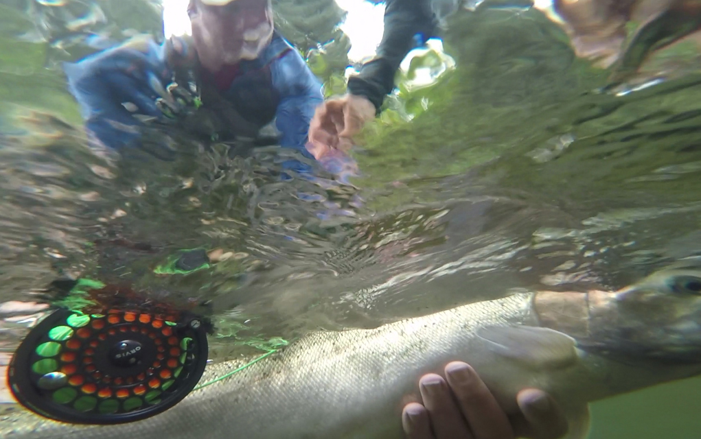 In “Chrome,” a short film produced by Montana-based nonprofit Conservation Hawks, six anglers take a trip to British Columbia to fly-fish for steelhead trout while talking candidly about how climate change has altered their favorite sport.