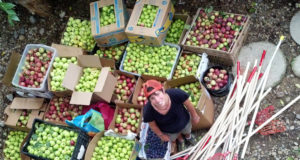 Untapped potential: Boulder’s Food Waste Audit