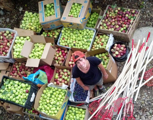 Untapped potential: Boulder’s Food Waste Audit