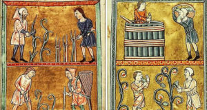 Trading a desk job for one in the vineyards