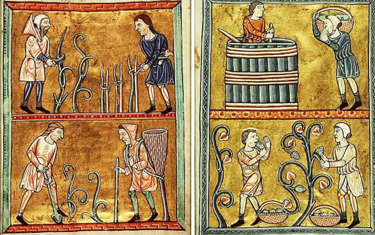 Trading a desk job for one in the vineyards
