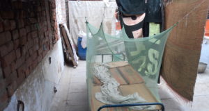 I slept under a mosquito net for one week; Here’s why