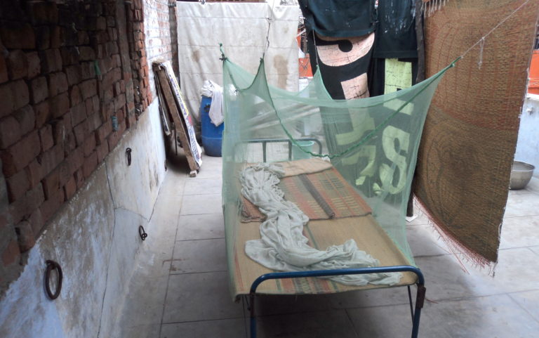 I slept under a mosquito net for one week; Here’s why