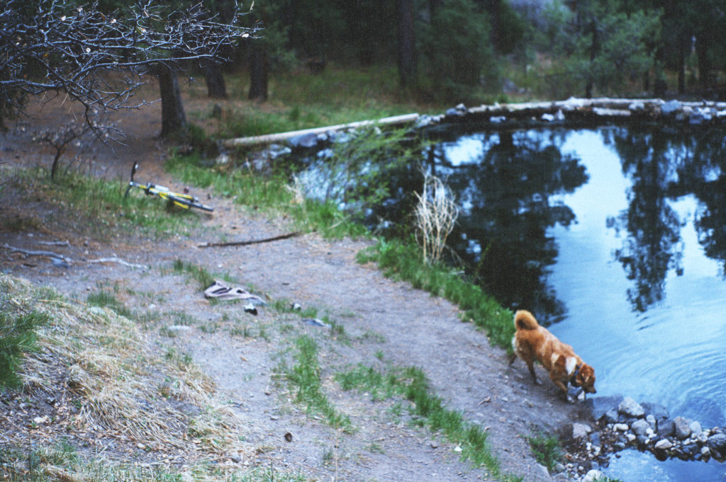 Volunteer built pools are common at Colorado’s remote hike-to hot springs. If you like what you are soaking in, make a couple improvements for the next person to enjoy.