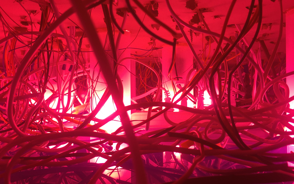 Dark undercurrents of consumer culture