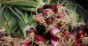 Push your vegetable envelope with scallions, kohlrabi, fava beans and chard