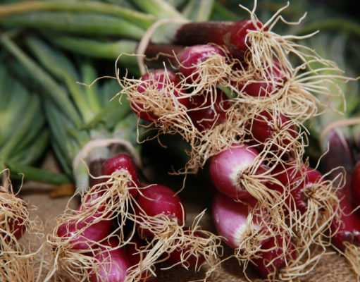 Push your vegetable envelope with scallions, kohlrabi, fava beans and chard
