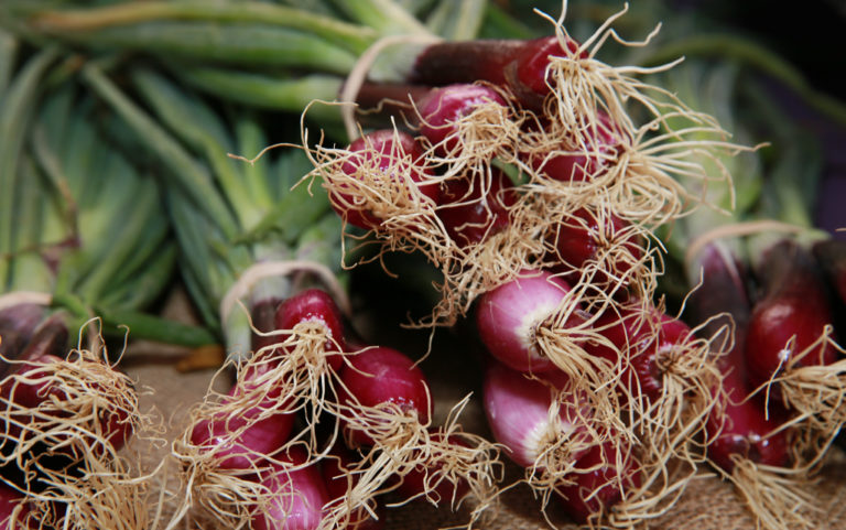 Push your vegetable envelope with scallions, kohlrabi, fava beans and chard