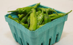 Shishito peppers from Deep Nutrition Farm