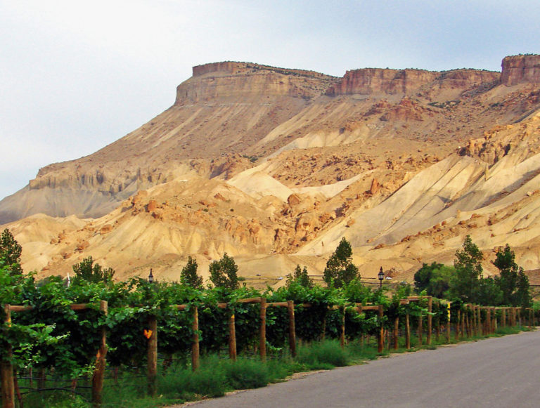 The best of Colorado wines