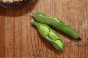 Fava beans from Munson Farms