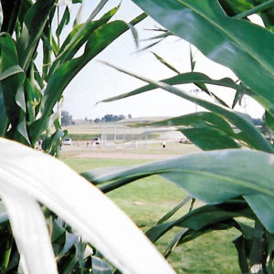 Melting into the corn in 2005 at the Field of Dreams, Dyersville, IA.